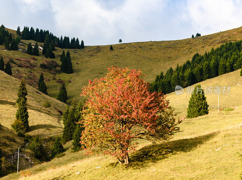 蒙特Grappa-Veneto-Treviso-Italy 83